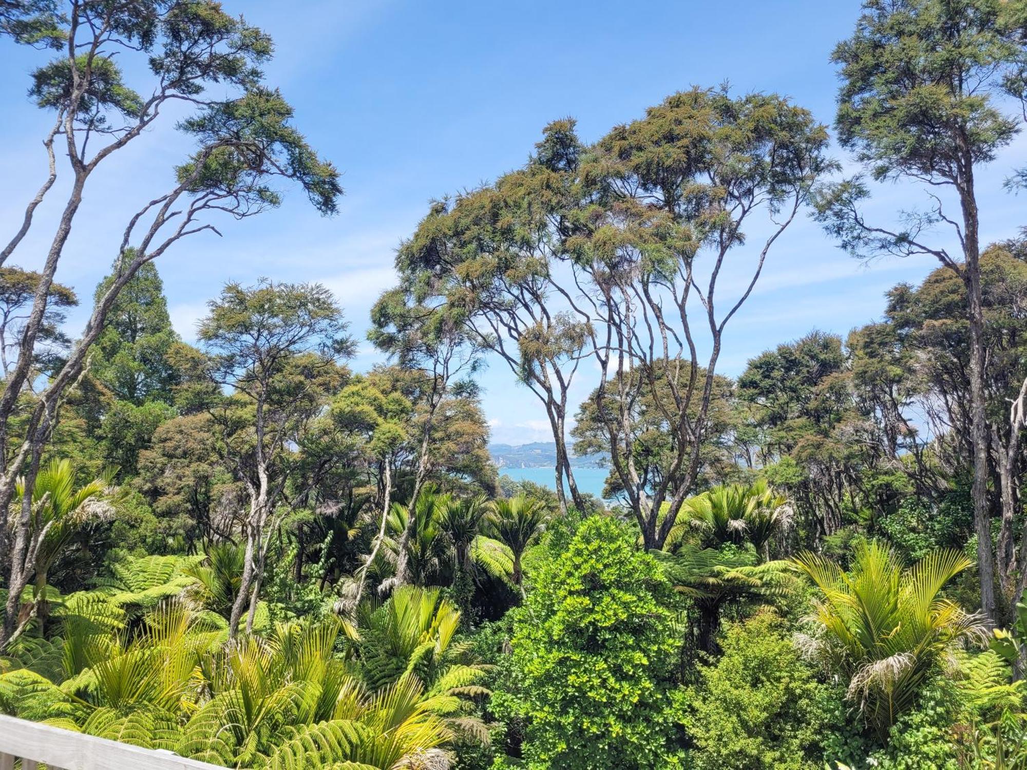 Annabells B&B Whitianga Exterior photo